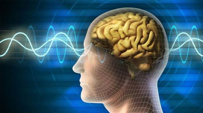 implante cerebral implante cerebral