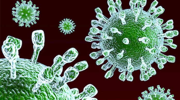 rotavirus rotavirus