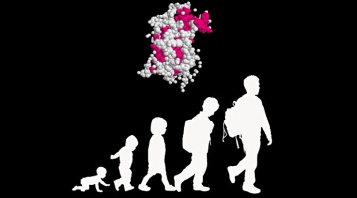 hormona del crecimiento hormona