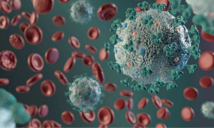 coronavirus