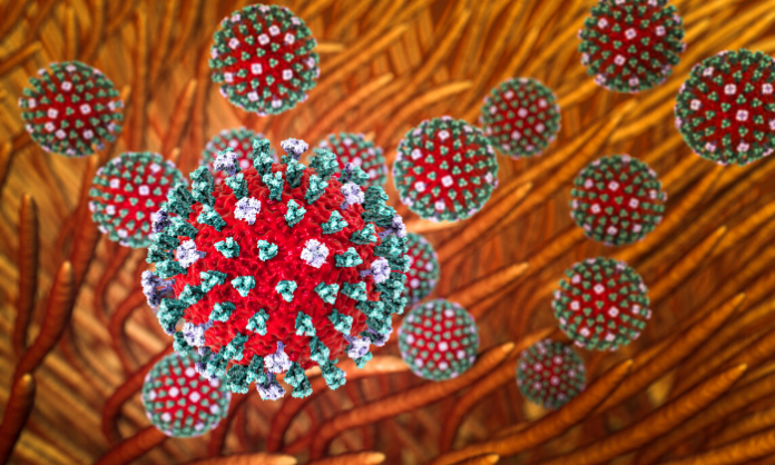 coronavirus