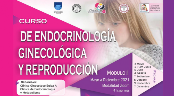 curso endocrinología
